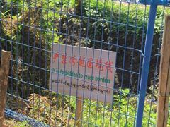 -一寨两国风景区