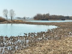 -苏州吴中太湖旅游区