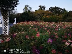 -玫瑰海岸文化旅游度假区