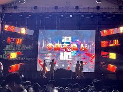 -巨鹏飞梦幻海岸