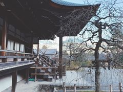 -天龙寺