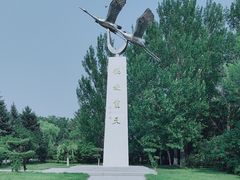 -黑龙江扎龙生态旅游区