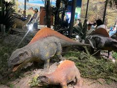 -湖南省地质博物馆