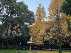 -叶叶菩提·晋福宫