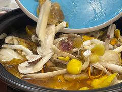 -菌之家·专业纯野生菌火锅·特色炒菌