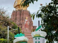 -纳兰傣雀傣味餐厅