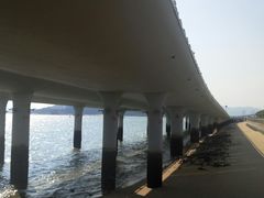 -演武大桥观景平台