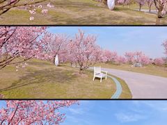 -花开海上生态园