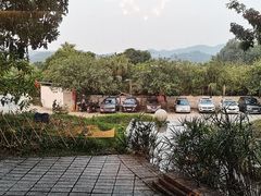 -凤阁楼果木烧鹅(鹤山陈山店)