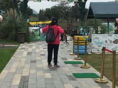 -田园东方蜜桃村的田野营地