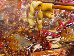 -渝昆龙火锅(朗苑店)