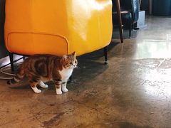 -咖法森林·咖啡  酒吧(天河店)