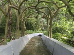 -沂蒙山旅游区云蒙景区(蒙山国家森林公园)