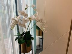 -花园5號餐厅