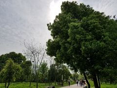 -盘龙城国家考古遗址公园