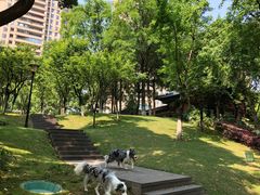 -重庆市江北嘴中央商务区中央公园