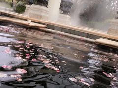 -苏州湾王焰温泉度假酒店