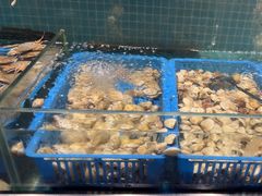 -曼格活海鲜·牛排自助(光明蓝鲸店)