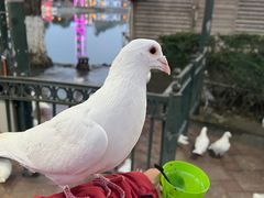 -国色天乡三期陆地乐园