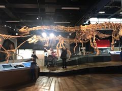 -墨尔本博物馆(Melbourne Museum)