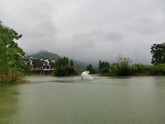 -长兴太湖图影湿地文化园