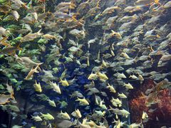 -成都浩海立方海洋公园