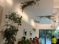 大堂-尤加利咖啡馆