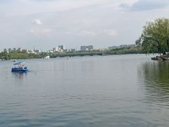 -长春市南湖公园