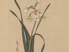 -【朵云轩艺术中心】博洛尼亚插画展·中国巡展·上海站
