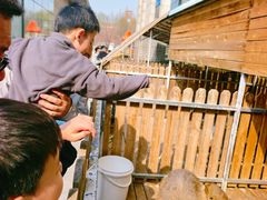 -廊坊固安福朋喜来登酒店