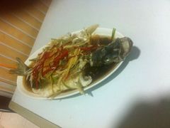 -煲来饱去冷水鱼