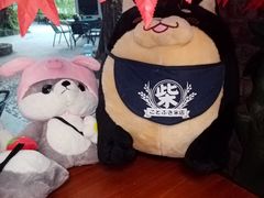 -柴犬高等学院·狗咖·柴犬售卖·宠物训练