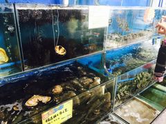 -蚝专家(北滘店)