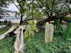 -江心屿景区