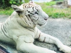 -杭州野生动物世界