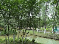 -合肥滨湖国家森林公园