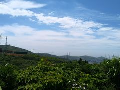 -东极岛景区