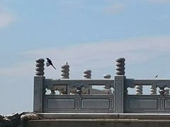 -天津妈祖文化园