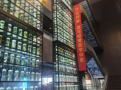 -广东中医药博物馆
