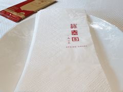 -詠春园