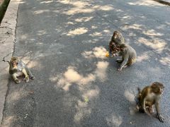 -黔灵山公园