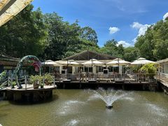 -芭厘·农庄老字号.电饭煲五指毛桃焗鸡