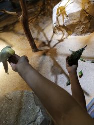 -酷嗒动物文化乐园(cutezoo西溪乐天城店)