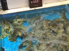 -徐记海鲜(开福寺|伍家岭店)