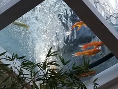 -蜜舍咖啡(洋人街店)