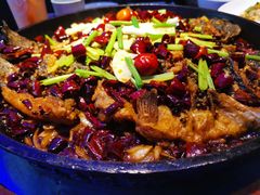 -老板恋上鱼(恒隆广场店)