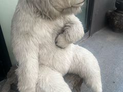 -Carmen卡门西班牙餐厅