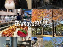 -中旅阿那亚九龙湖·公主酒店