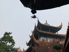 -东安鸡馆(蔡锷南路店)