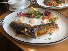 -MR.ROCKY洛奇先生RESTAURANT&BAR(宝安壹方城店)